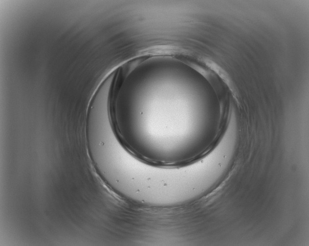 X0000073421473200608041011