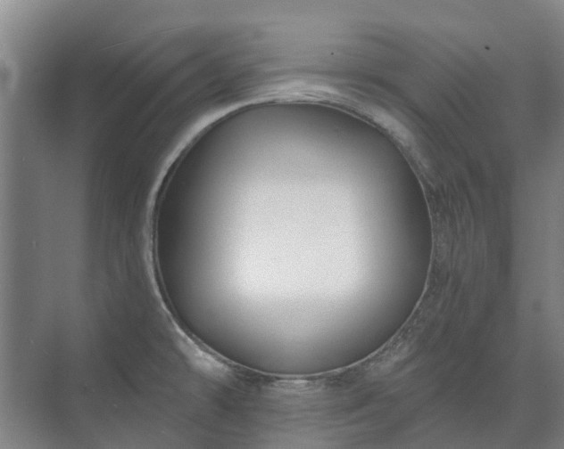 X0000073421478200608041011