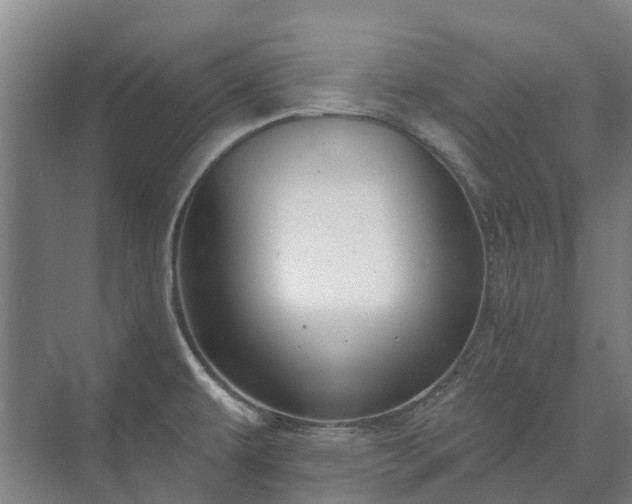 X0000073421479200608041011