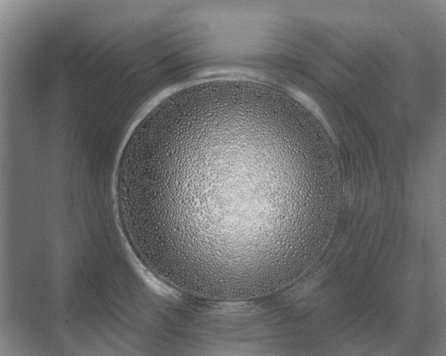 X0000073421482200608041011