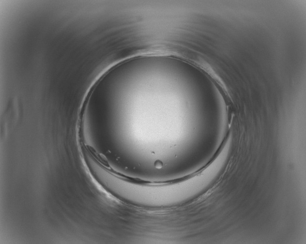 X0000073421484200608041011