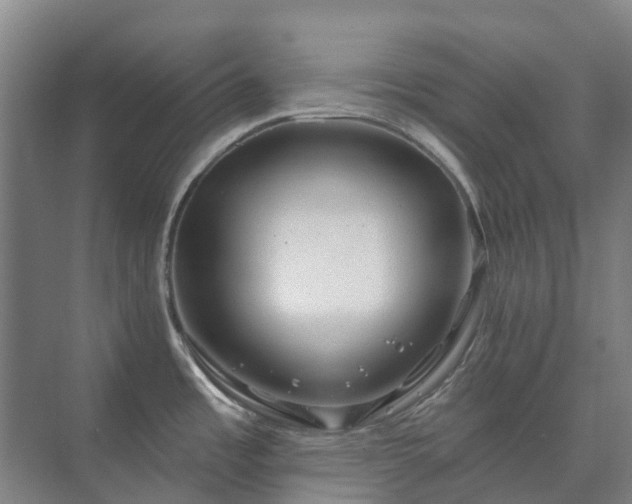 X0000073421485200608041011