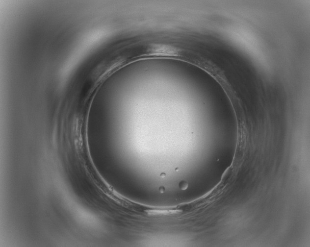 X0000073421487200608041011