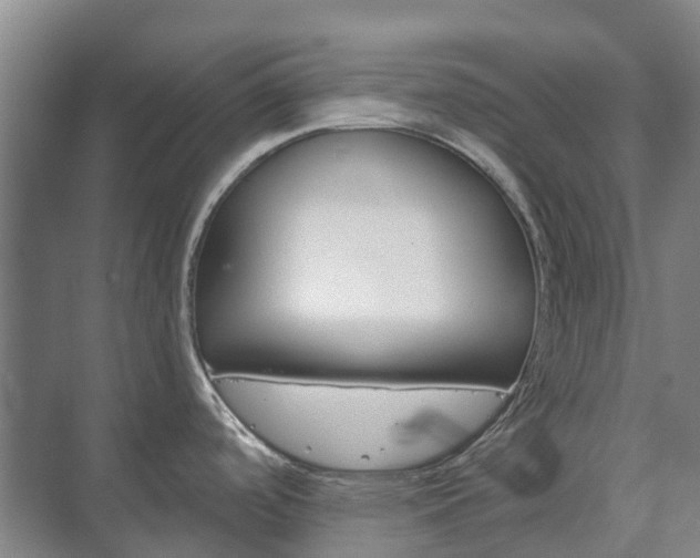 X0000073421488200608041011