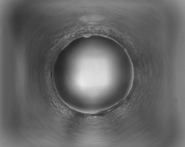 X0000073421489200608041010