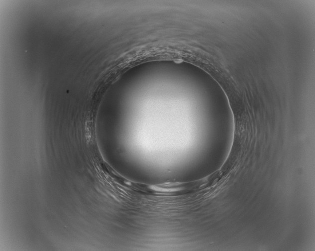 X0000073421490200608041010