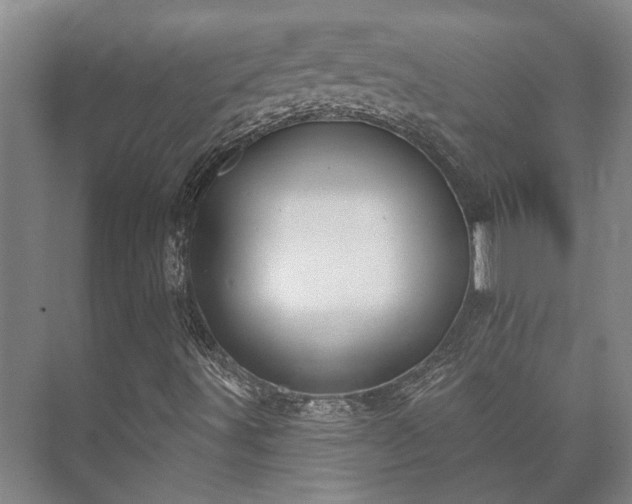 X0000073421491200608041010