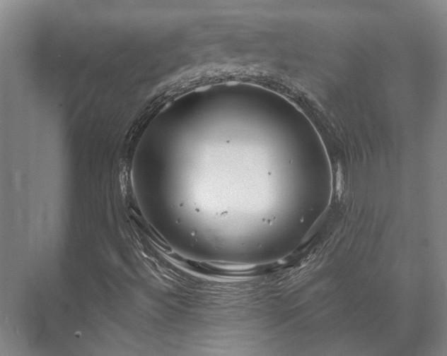 X0000073421492200608041010