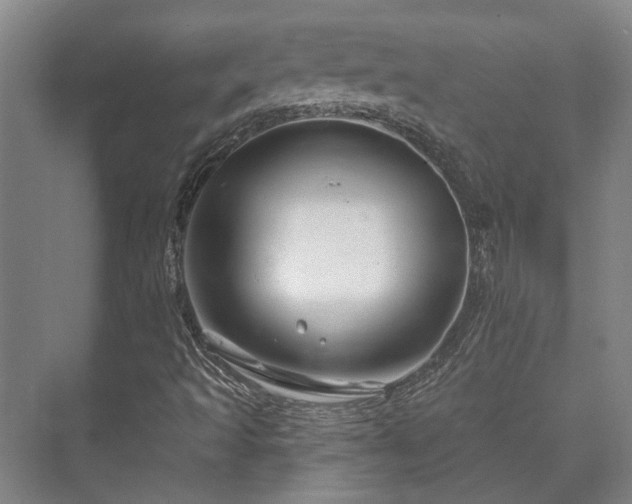 X0000073421493200608041010