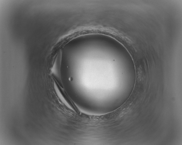 X0000073421494200608041010