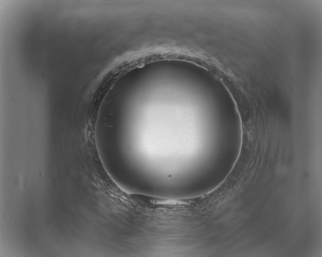 X0000073421495200608041010