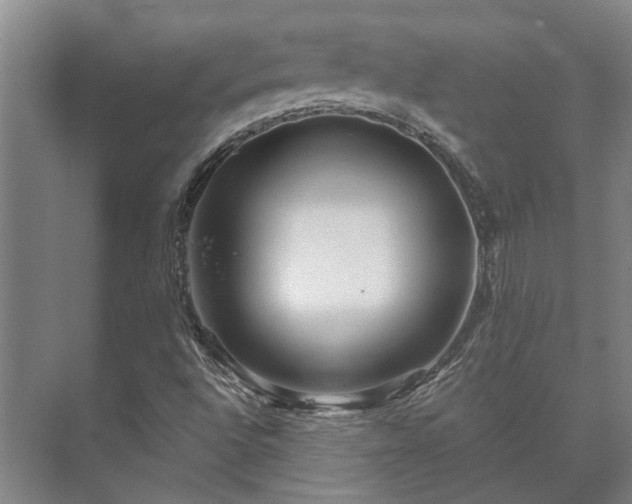 X0000073421496200608041010