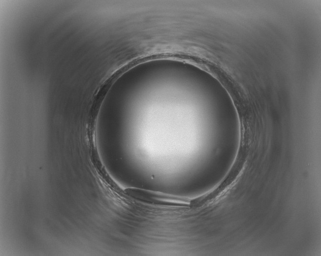 X0000073421497200608041010