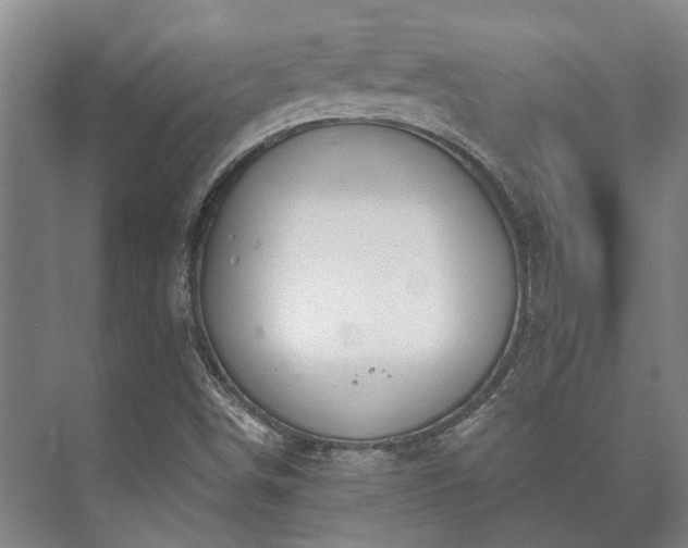 X0000073421498200608041010