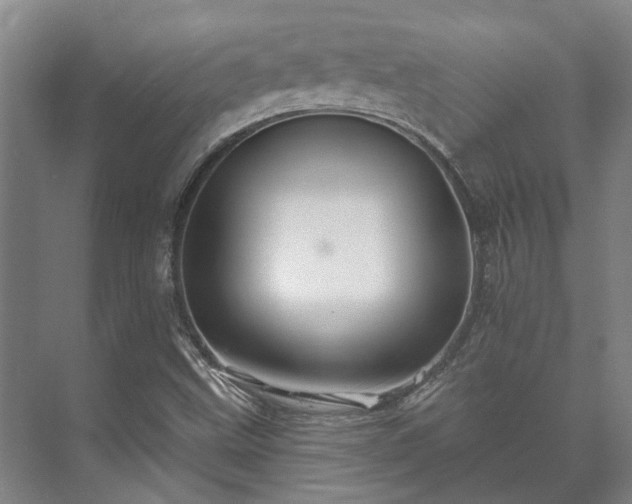 X0000073421499200608041010