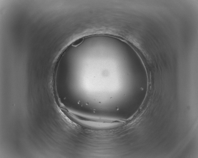 X0000073421500200608041011