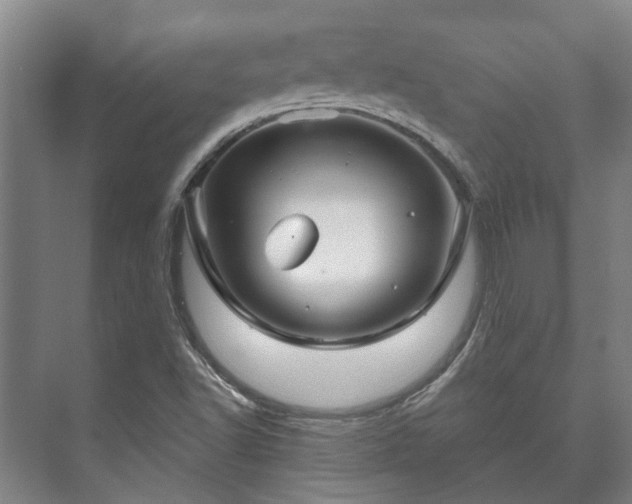 X0000073421502200608041011