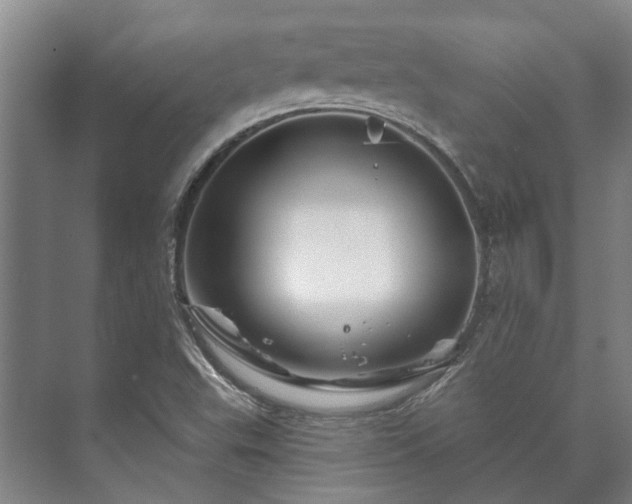 X0000073421503200608041011