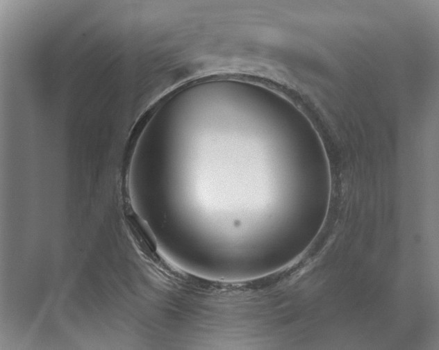 X0000073421505200608041011