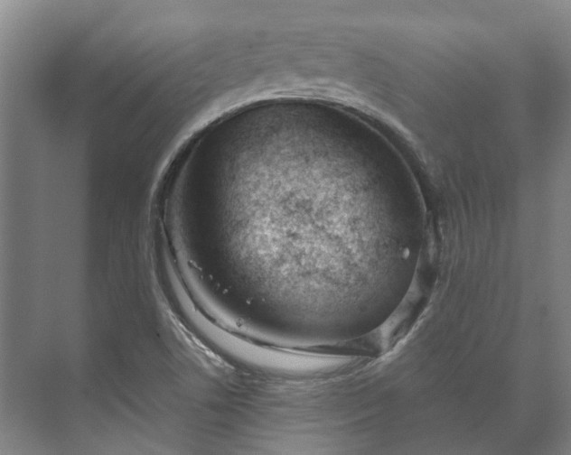 X0000073421506200608041011