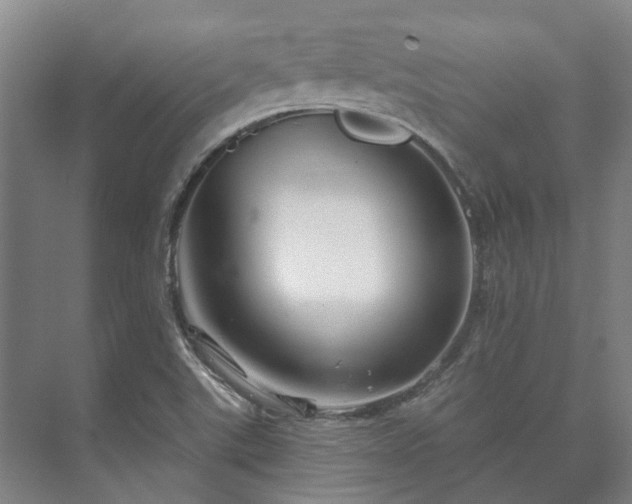 X0000073421507200608041011