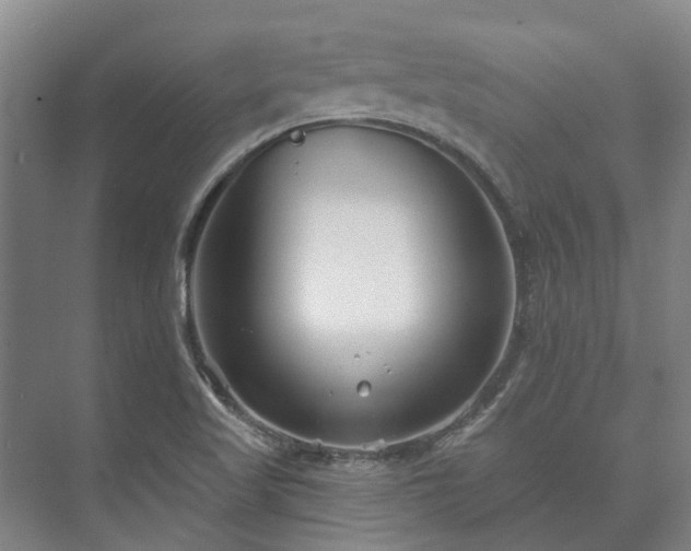 X0000073421509200608041011