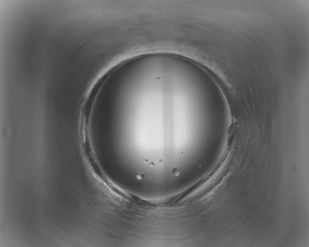 X0000073421510200608041011