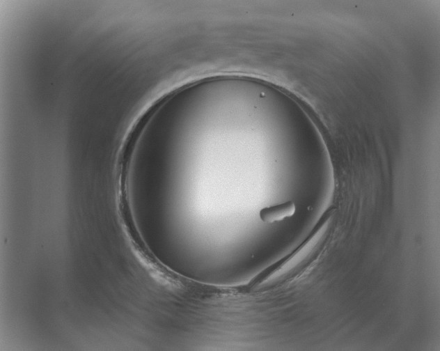 X0000073421511200608041011