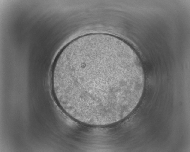 X0000073421514200608041011