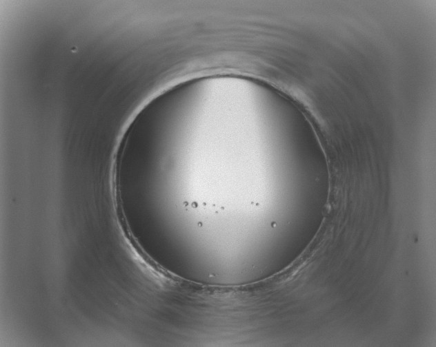 X0000073421516200608041011