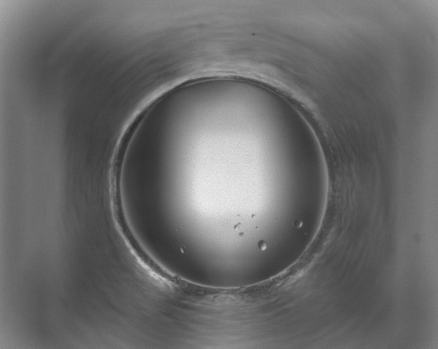 X0000073421517200608041011