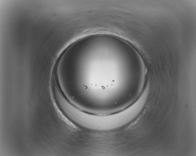 X0000073421518200608041011