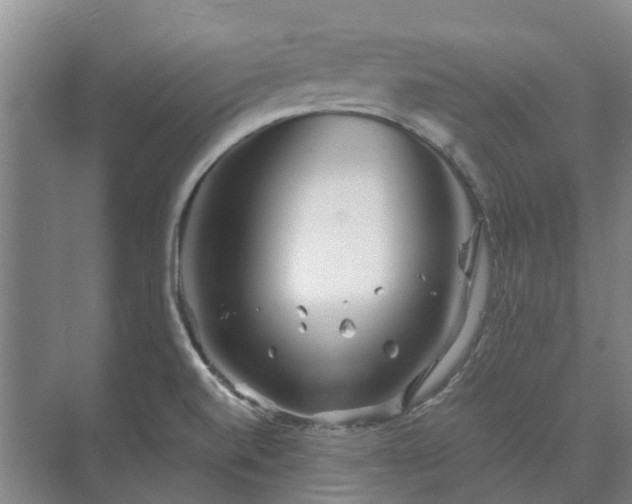 X0000073421520200608041011