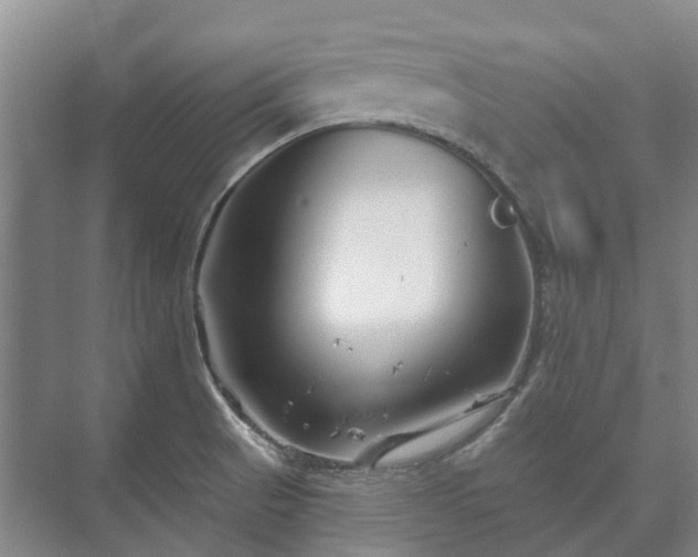 X0000073421521200608041011