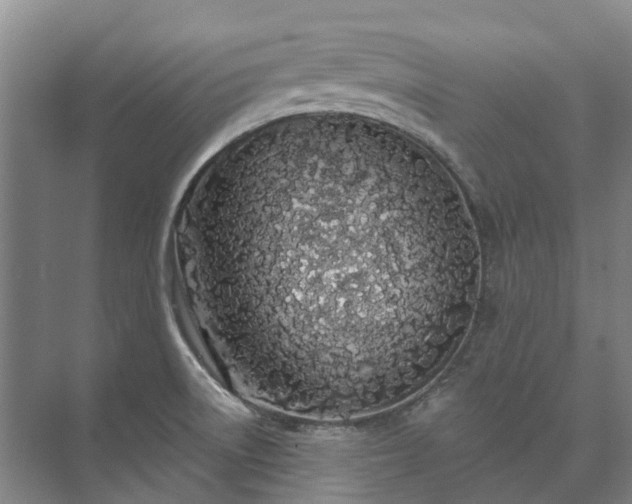 X0000073421522200608041011