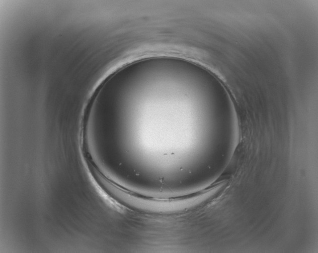 X0000073421523200608041011