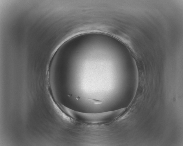 X0000073421524200608041011