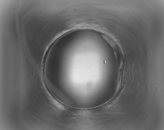 X0000073421525200608041011