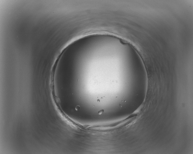 X0000073421526200608041011