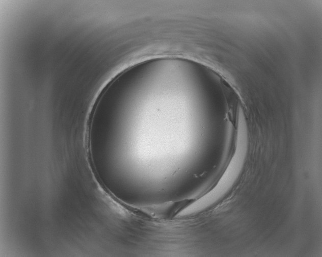 X0000073421527200608041011