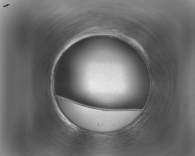 X0000073421528200608041011