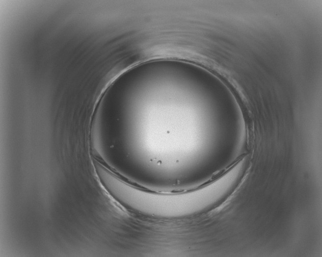 X0000073421529200608041011