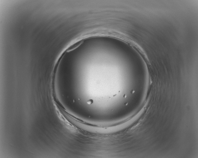 X0000073421530200608041011