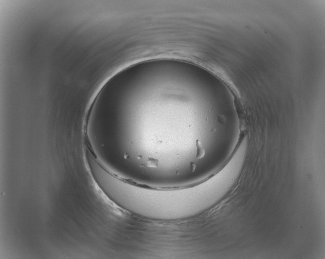 X0000073421532200608041011