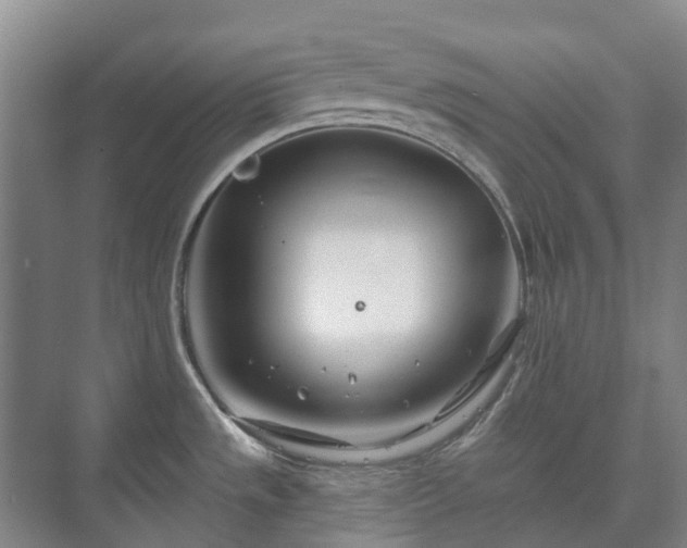 X0000073421533200608041011