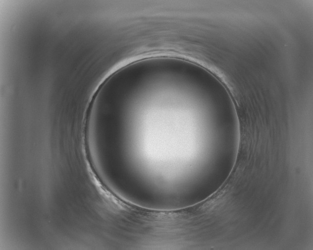 X0000073421534200608041011