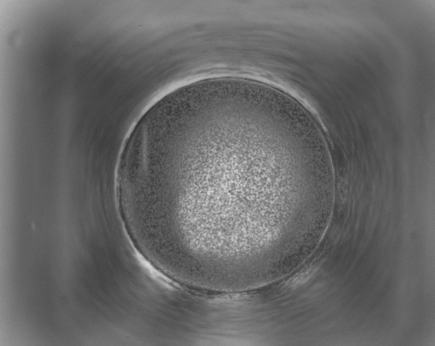 X0000073421535200608041011