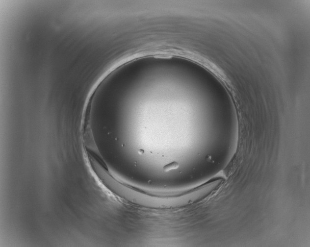 X0000073421536200608041011