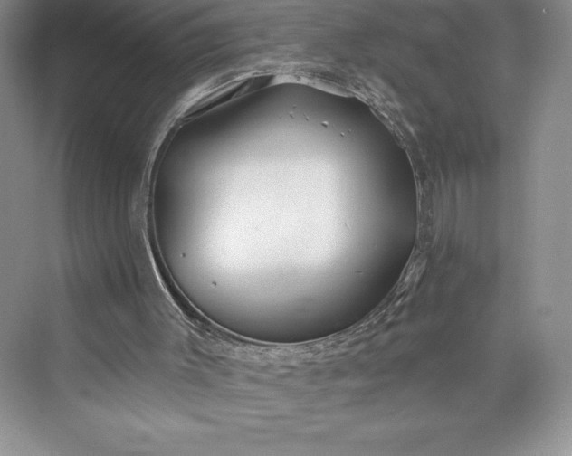 X0000073420003200608111403