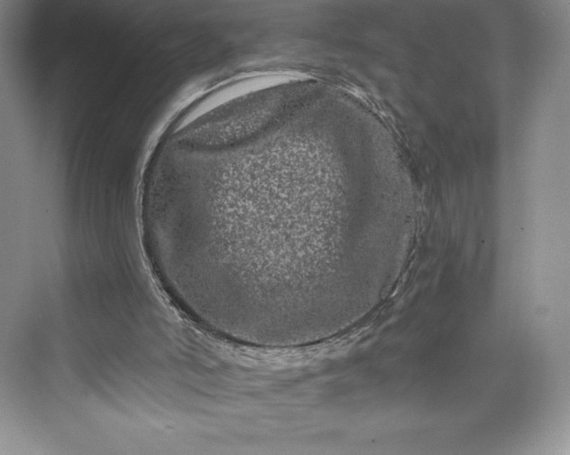 X0000073420006200608111403